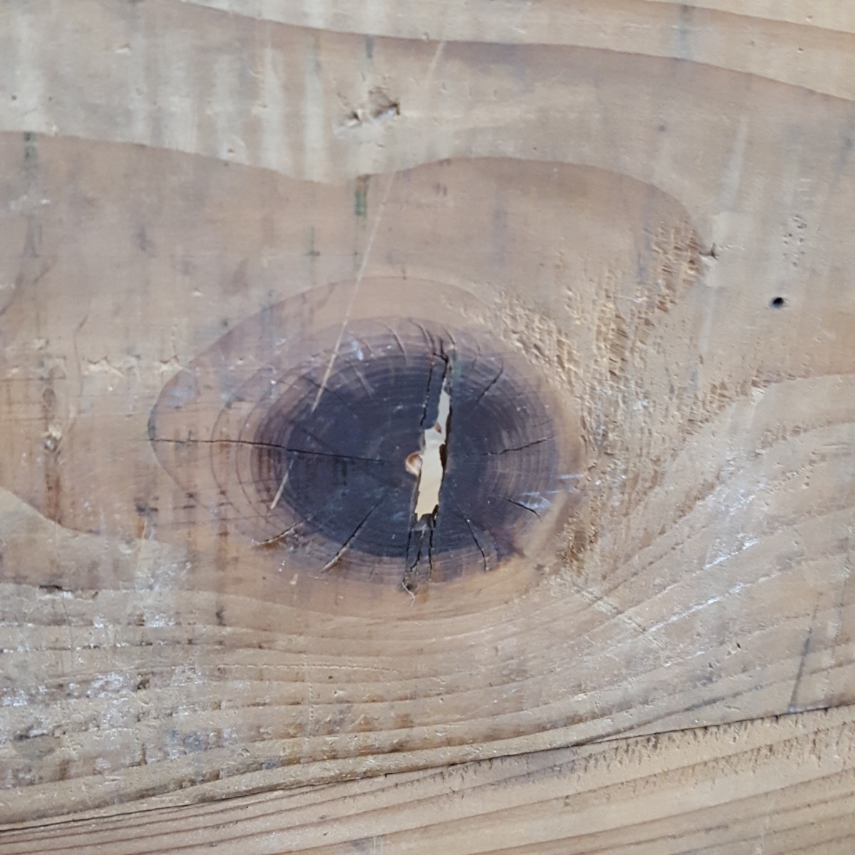 昭和レトロ　ニッポンビール　赤星　木箱_7