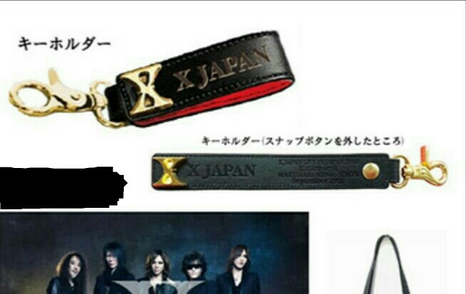 JAPAN X 紅に染まった夜 VIP ゴールド Messe PATA TAIJI 0 Live日本
