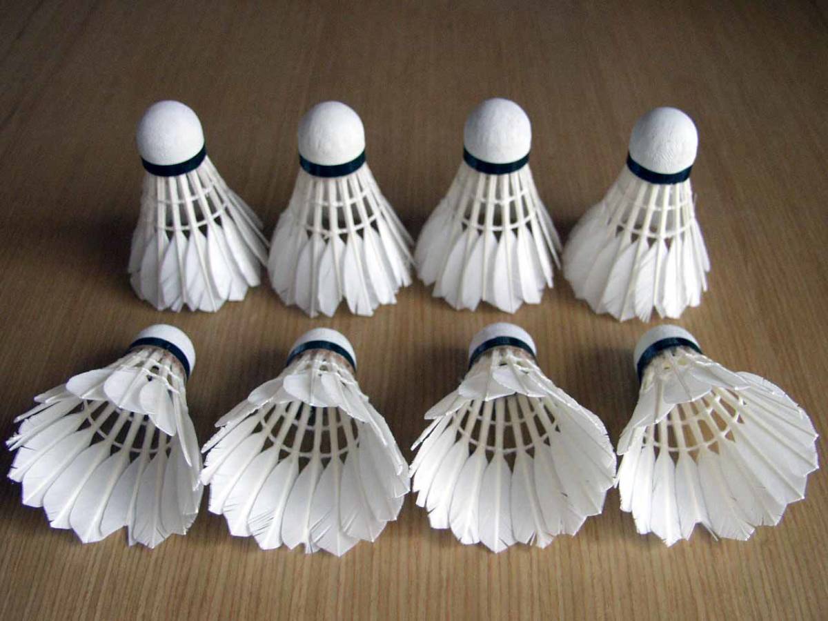 ヨネックス(YONEX) バドミントンシャトル ニューオフィシャル(1