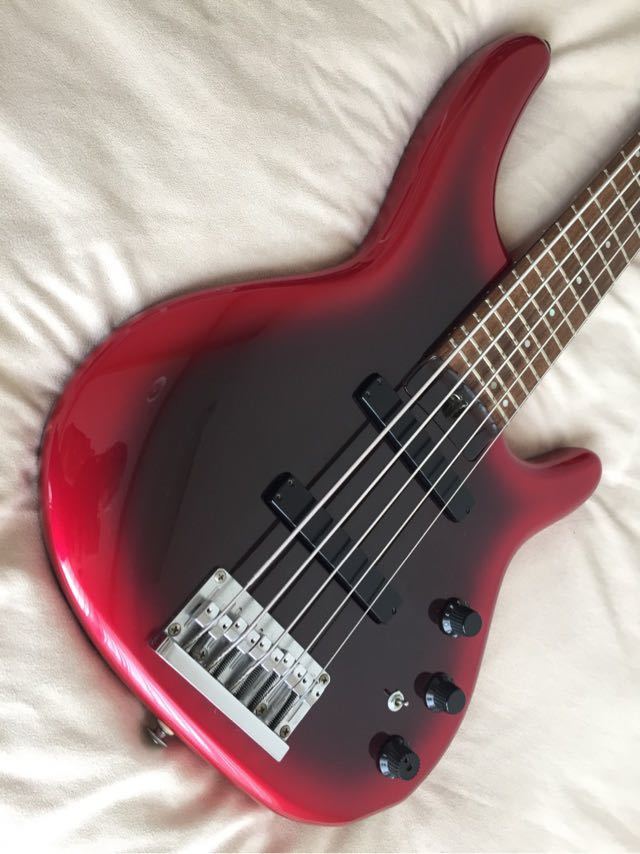 DR-5 希少HEARTFIELD カスタム 5弦ベース フレットレス仕様 HEARTFIELD