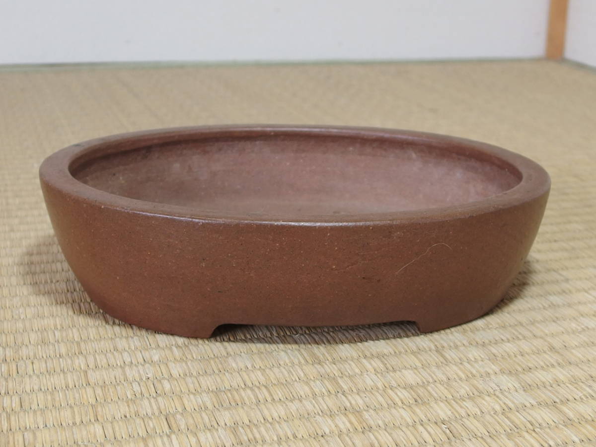 紫峰盆栽》 正山 紫泥楕円鉢 和鉢(泥物)特集 間口 作家