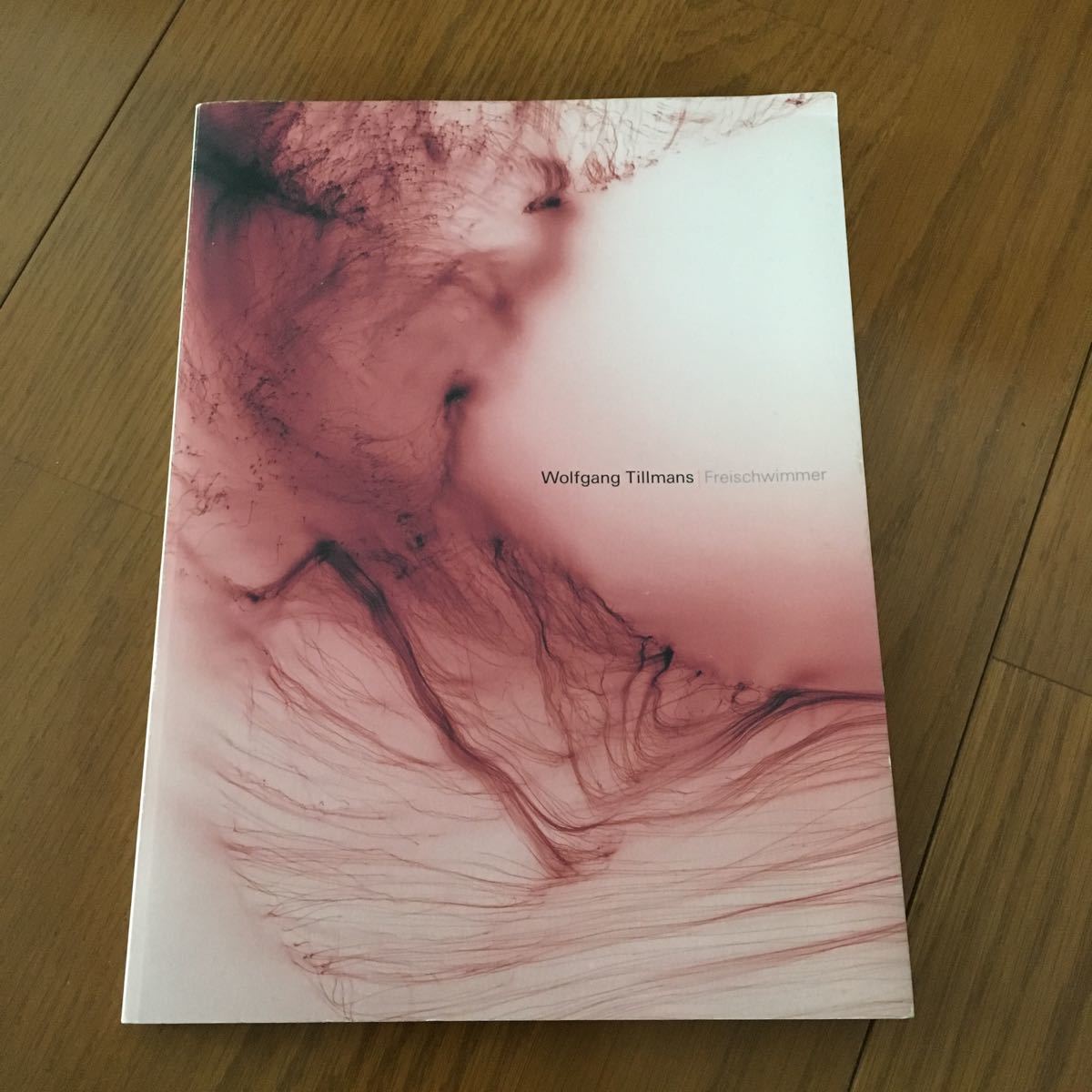 ヴォルフガング・ティルマンス : WOLFGANG TILLMANS / FREISCHWIMMER 