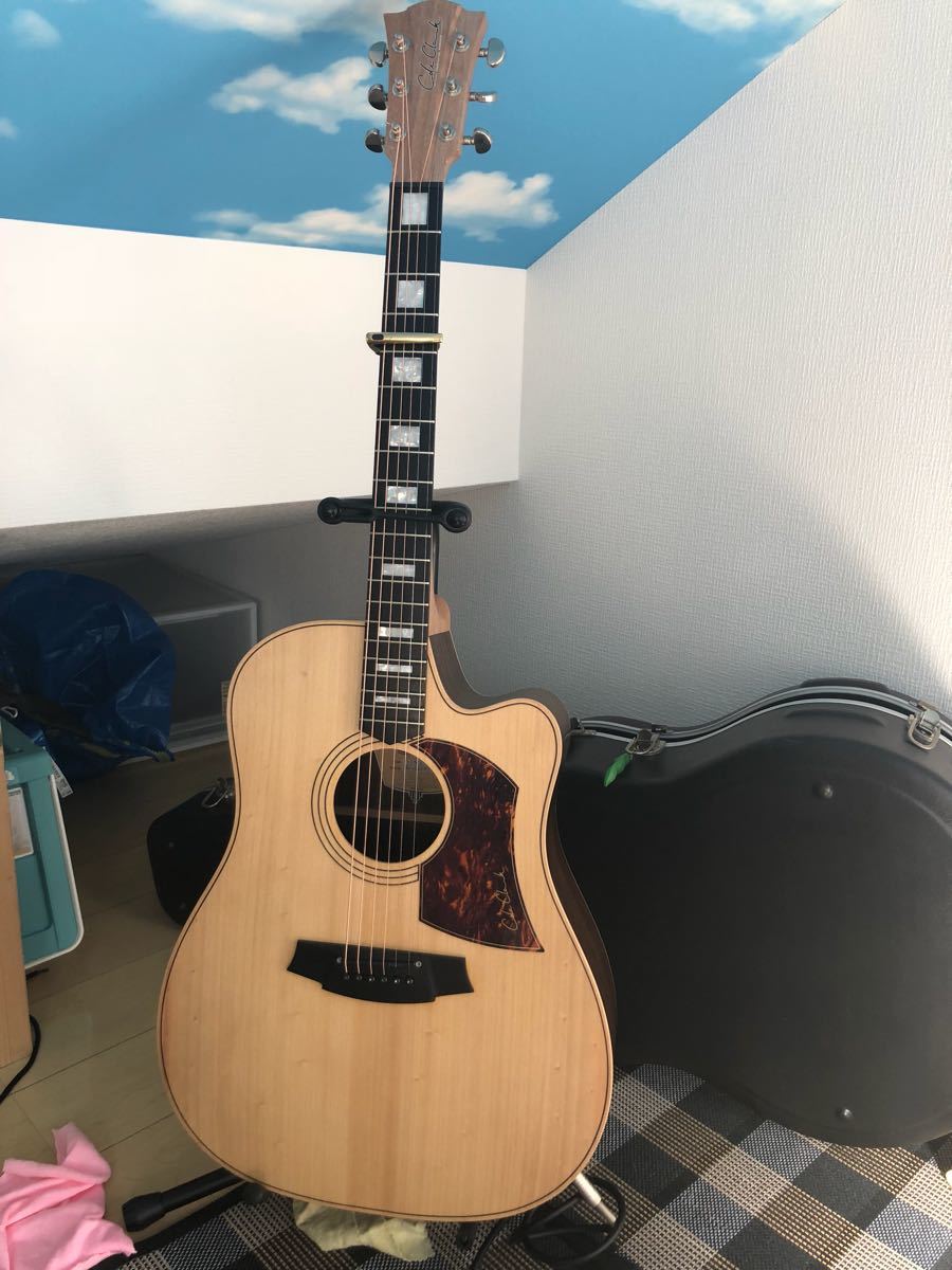 coleclark top bunya材_5