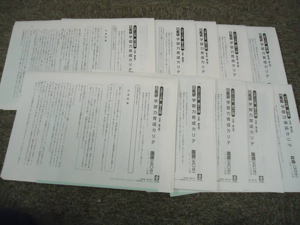 日能研 育成テスト 2023年 2023年度 公式通販 学習力育成テスト 6年生