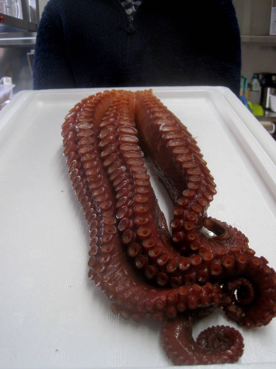 ★越後佐渡産の釜ゆで蛸足（タコ足）3本！冷凍物では御座いません。茹でたて！ワサビ醤油で！タコ焼きの具材にすれば超高級タコ焼き完成！