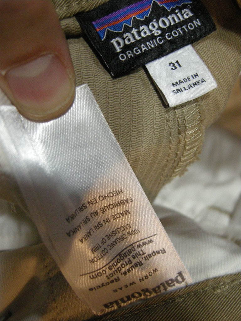 極美展足キリンクビナガオトシブミ 立体標本 昆51 キリンクビナガ