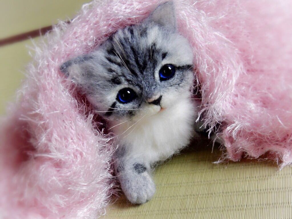 ◇sei◇ 羊毛フェルト サバトラの子猫 赤ちゃん猫♪ ハンドメイド(羊毛
