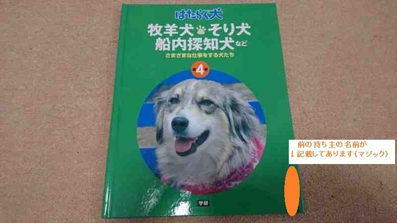 はたらく犬 牧羊犬 そり犬 船内探知犬など さまざまな仕事をする犬たち 読み物一般 売買されたオークション情報 Yahooの商品情報をアーカイブ公開 オークファン Aucfan Com