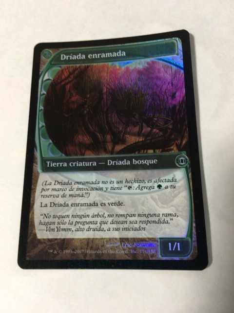 MTG FUT ドライアドの東屋 英語 Foil ドライアドの東屋 FUT 英語FOIL1