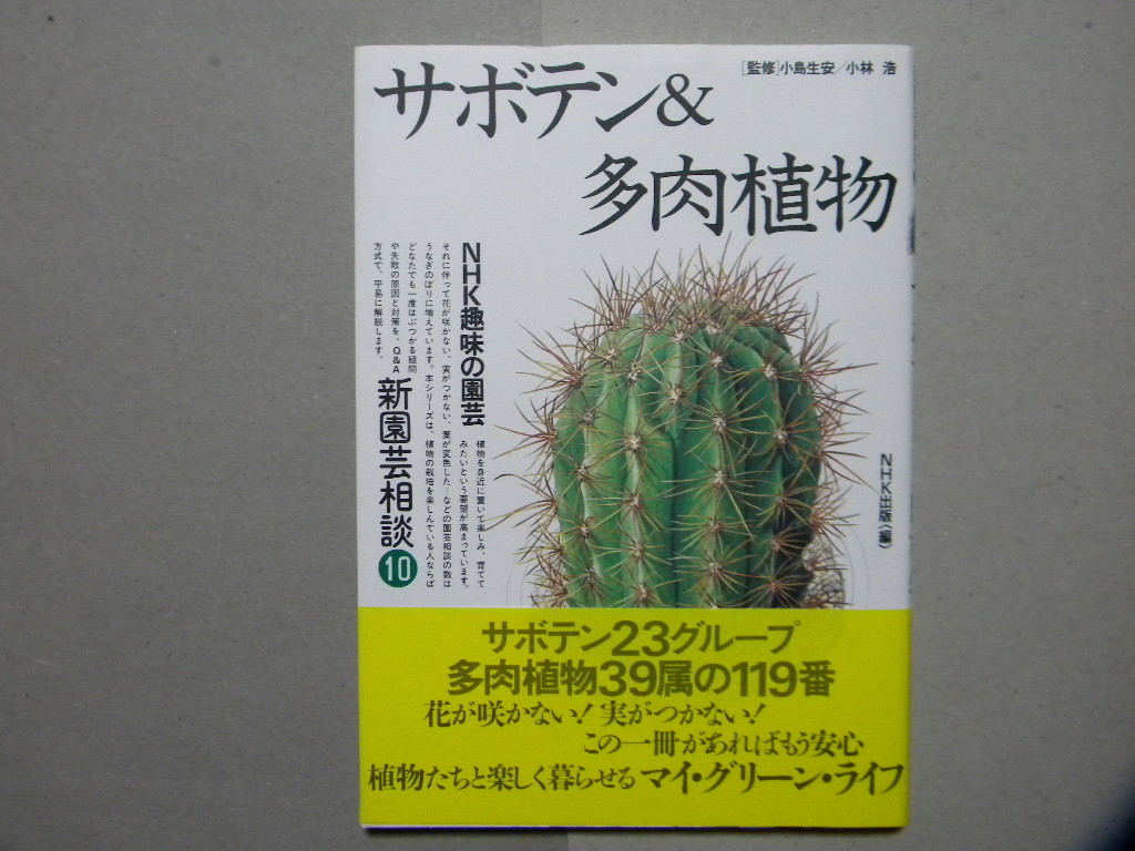 Nhk趣味の園芸 新園芸相談 サボテン 多肉植物 日本放送出版 熱帯植物 観葉植物 ガーデニング 世界の花 図鑑 栽培 野草 植物 売買されたオークション情報 Yahooの商品情報をアーカイブ公開 オークファン Aucfan Com