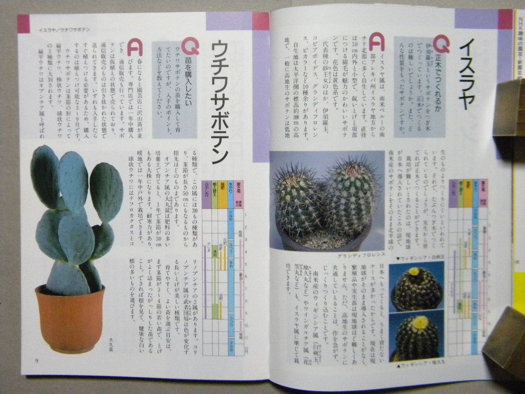 Nhk趣味の園芸 新園芸相談 サボテン 多肉植物 日本放送出版 熱帯植物 観葉植物 ガーデニング 世界の花 図鑑 栽培 野草 植物 売買されたオークション情報 Yahooの商品情報をアーカイブ公開 オークファン Aucfan Com