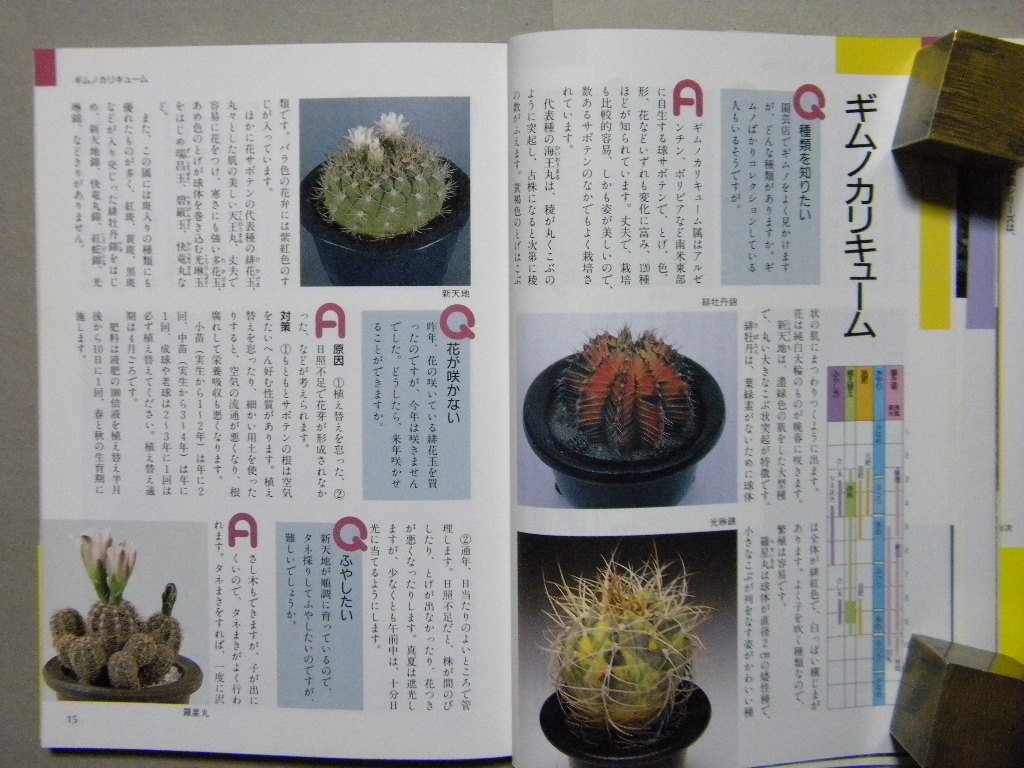 Nhk趣味の園芸 新園芸相談 サボテン 多肉植物 日本放送出版 熱帯植物 観葉植物 ガーデニング 世界の花 図鑑 栽培 野草 植物 売買されたオークション情報 Yahooの商品情報をアーカイブ公開 オークファン Aucfan Com
