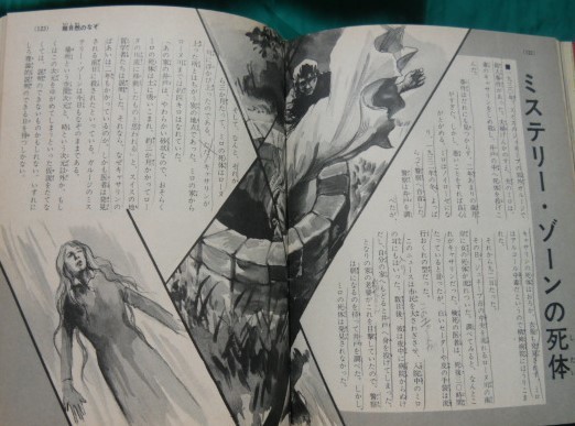 書籍010 世界ミステリーゾーン 入門百科34ふしぎ 小学館 和巻耿介 柳柊