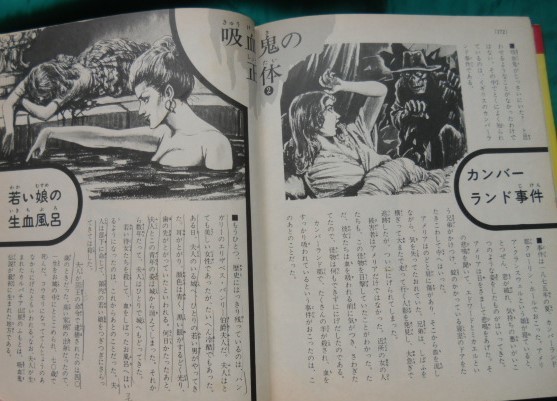 書籍010 世界ミステリーゾーン 入門百科34ふしぎ 小学館 和巻耿介 柳柊