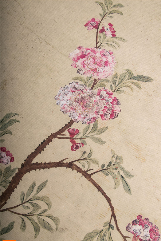 ★大人気★ 【桂花図】画芯 書道 古画 手巻 珍藏 美術品 掛軸 装飾画 総高：115cm LZ-052_3