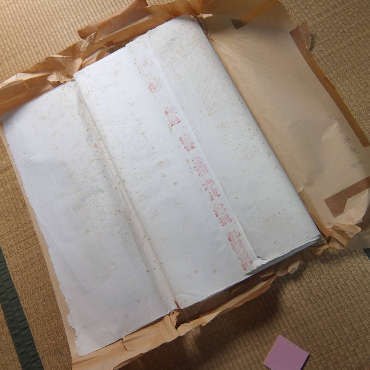 南極の石 昭和56年第22次南極地域観測協力記念 日本在庫あり 公式 V