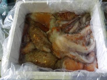 北海北の味】BIG超特大北海道産内蔵処理済み生冷凍タコ6.8ｋｇ入り(1匹入り)急速冷凍商
