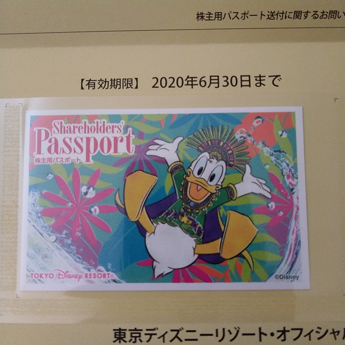 東京ディズニーリゾート 株主優待券 『送料無料』_1