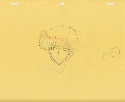 風まかせ月影蘭 原画 セット 19y13 08 7065 か行 売買されたオークション情報 Yahooの商品情報をアーカイブ公開 オークファン Aucfan Com