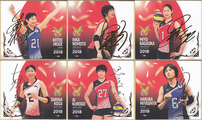 超お得！火の鳥NIPPON2018/金箔プリントサイン入りスペシャルミニ色紙
