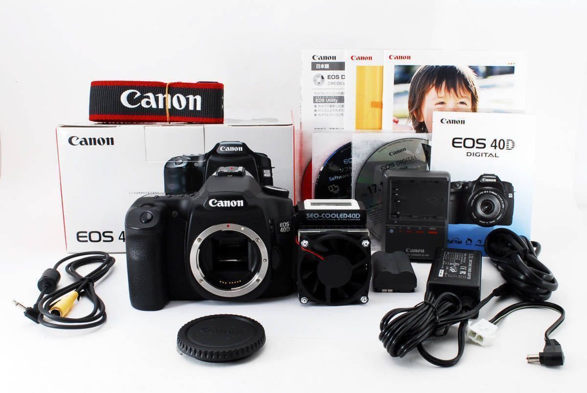 Canon 6D EOS 50mm STM + EF Lens Camera Kit with F1.8 II Mark 