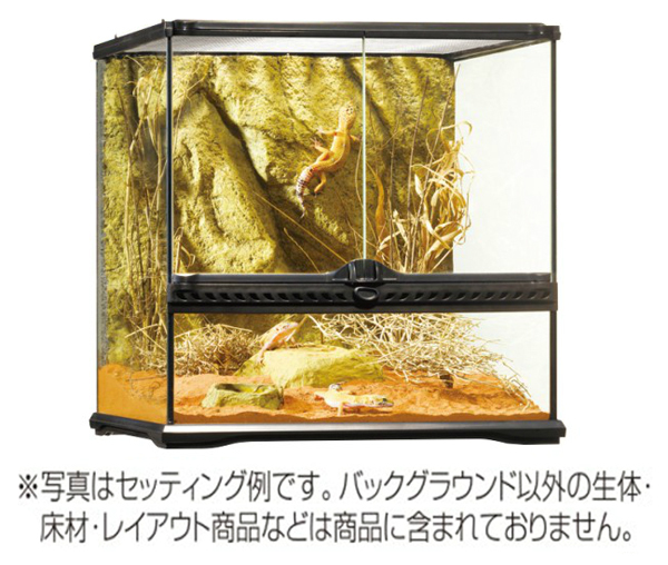 爬虫類・両生類用品 【未使用品】ジェックス エキゾテラ グラス