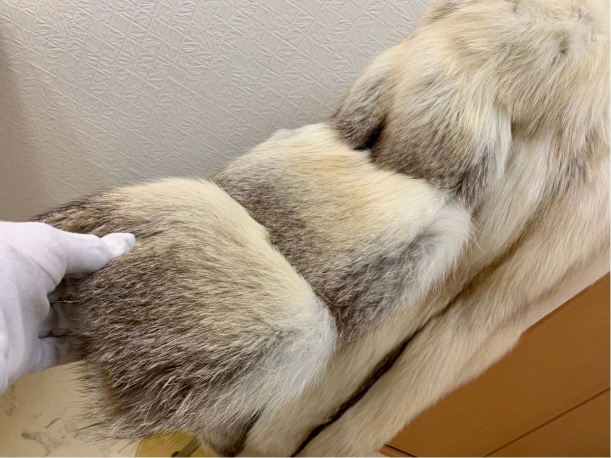 サガフォックス FOX SAGA ROYAL 大河1354 ロイヤルサガフォックス 