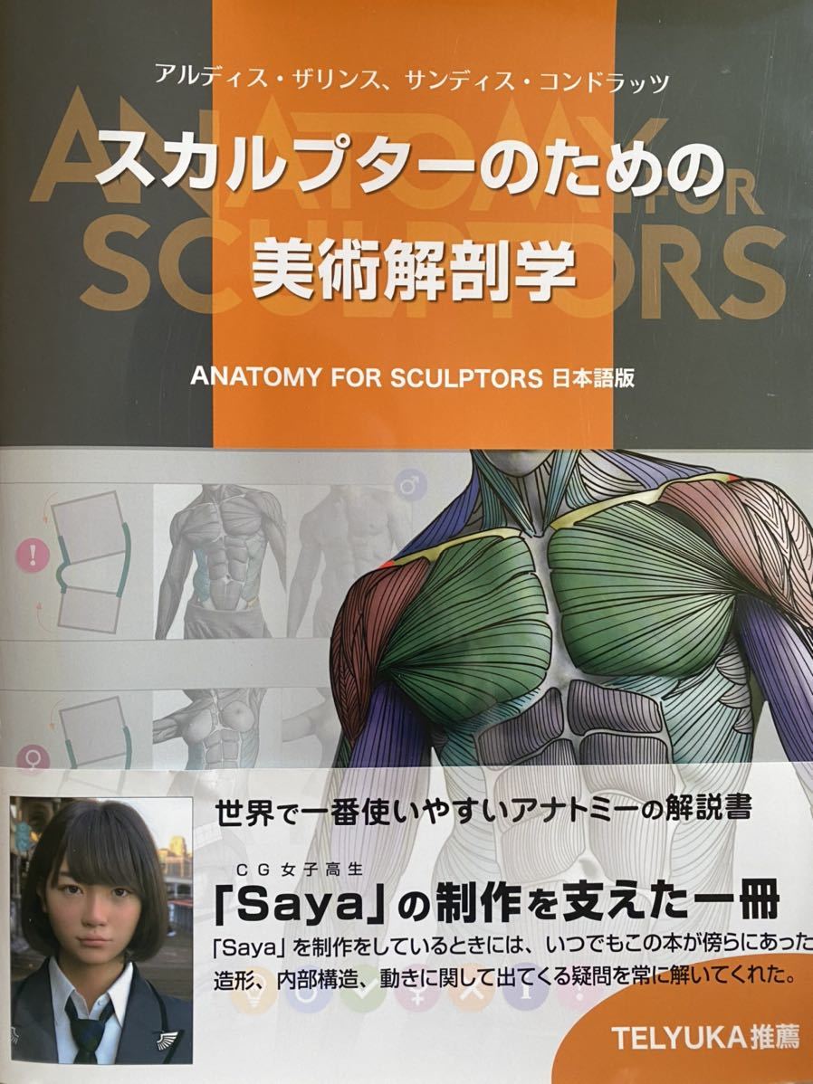 正規品，本物保証 スカルプターのための美術解剖学