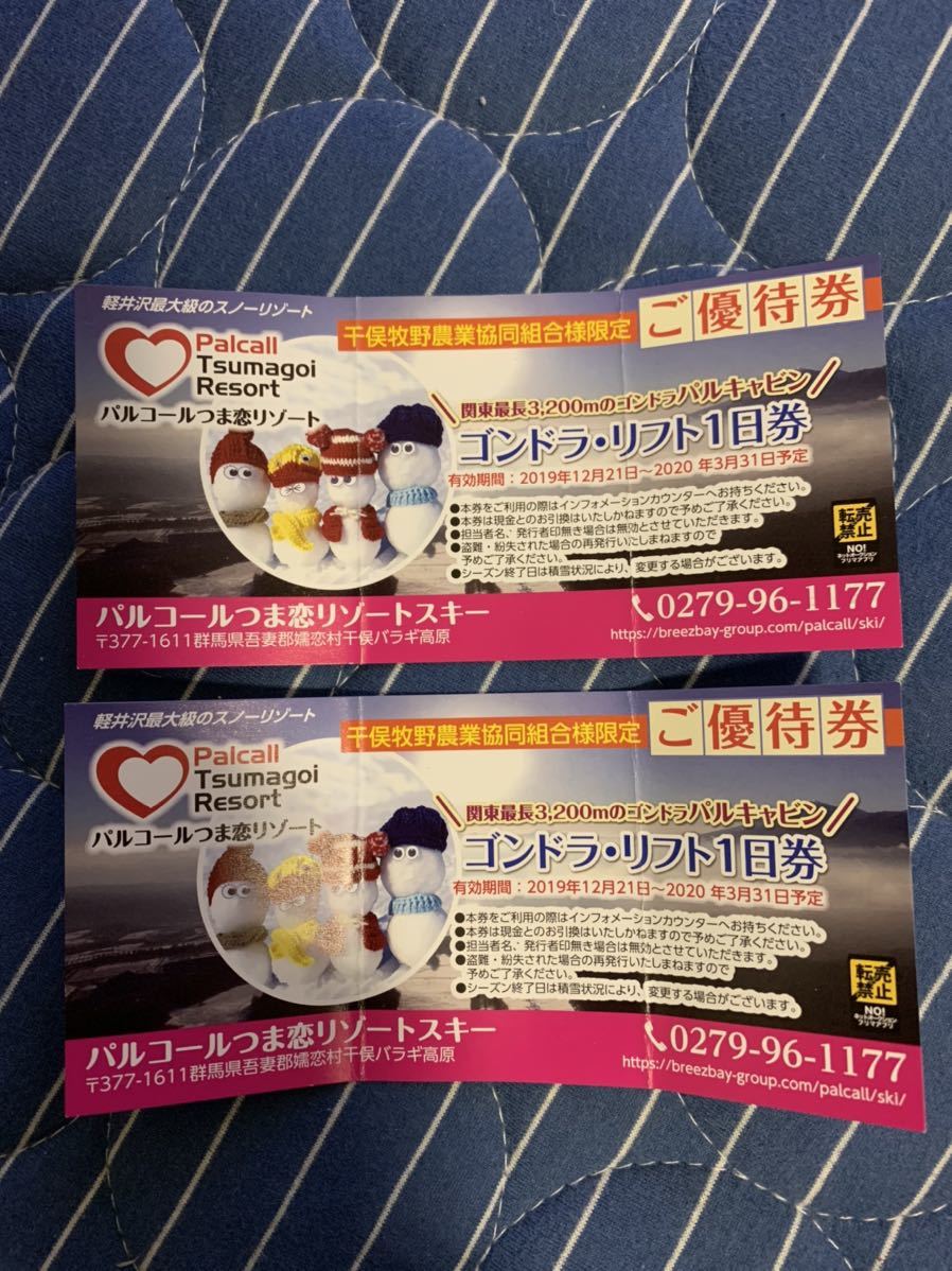 送料無料☆パルコールつま恋リゾートスキー場☆ゴンドラ・リフト1日券