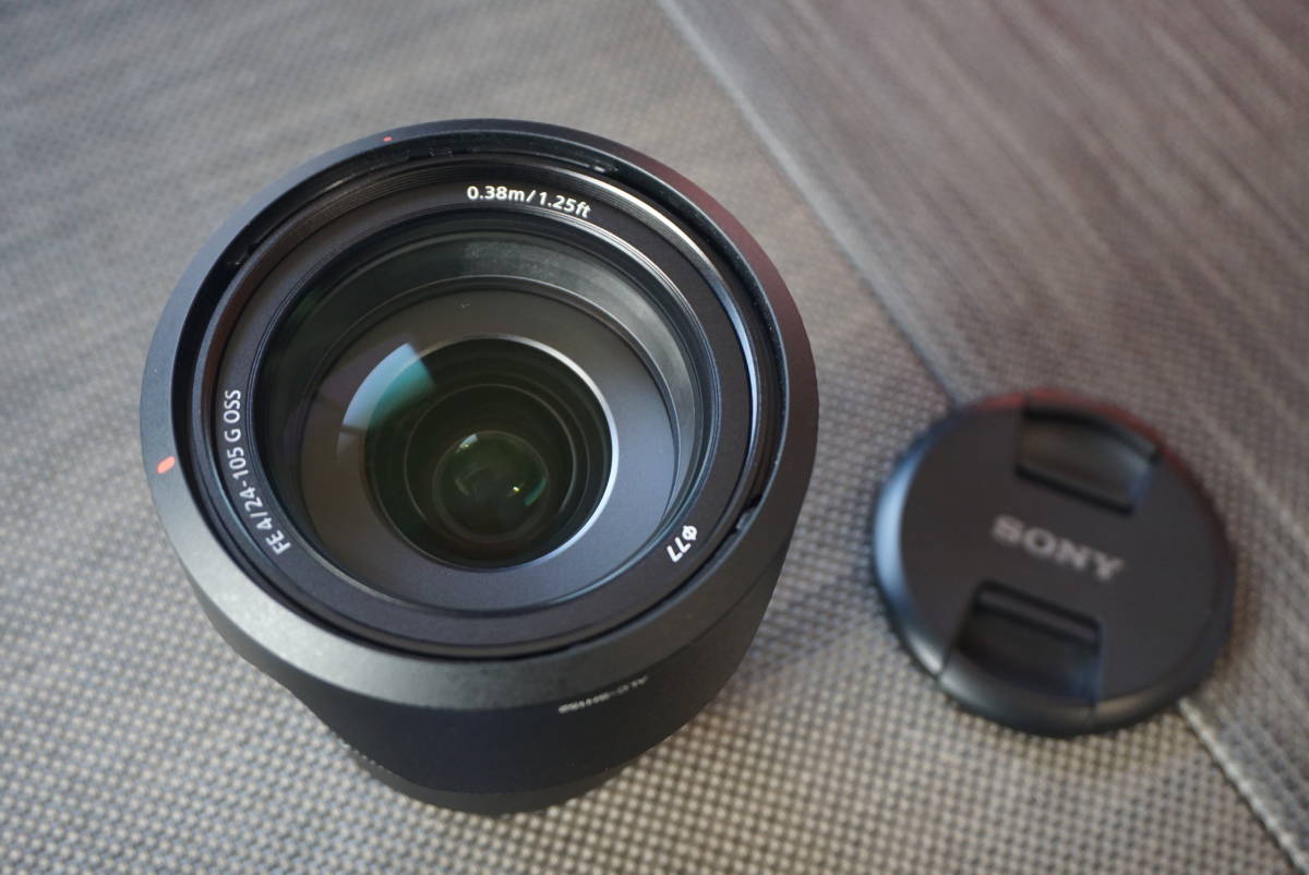 公式カスタマイズ商品 SONY デジタル一眼カメラα[Eマウント]用レンズ