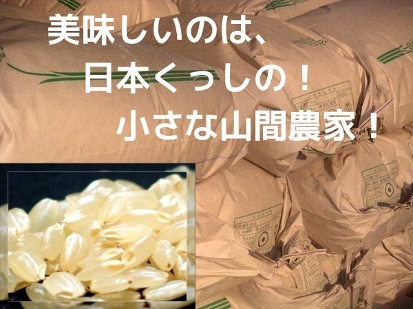 米20キロ 米20kg 購入後精米 無洗米 白米 20キロ 送料込 精米