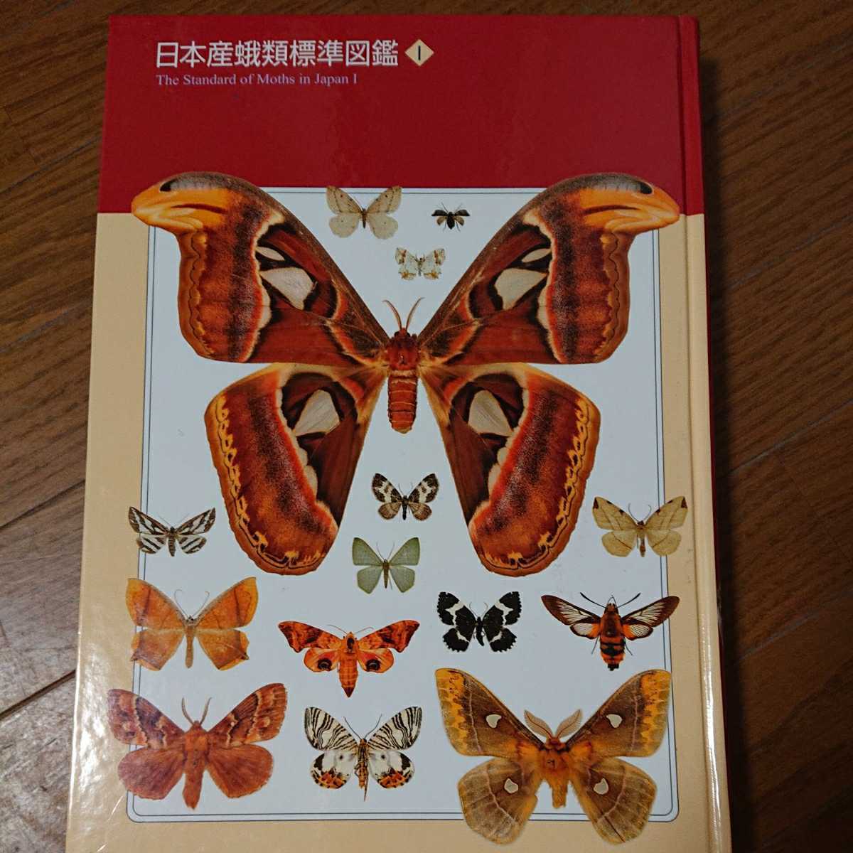 日本の蛾 岸田奈則 Gakken 日本の蛾 | 岸田泰則 |本 | 通販 | Amazon