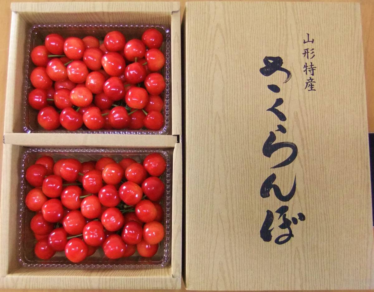 ☆予約開始☆ 山形県寒河江産 農家直送 さくらんぼ 佐藤錦 秀品 1kg ギフト 贈答用に最適 送料安○ 佐藤錦 さくらんぼ L ☆予約山形県産 (露地&frasl;秀品 (300g×2