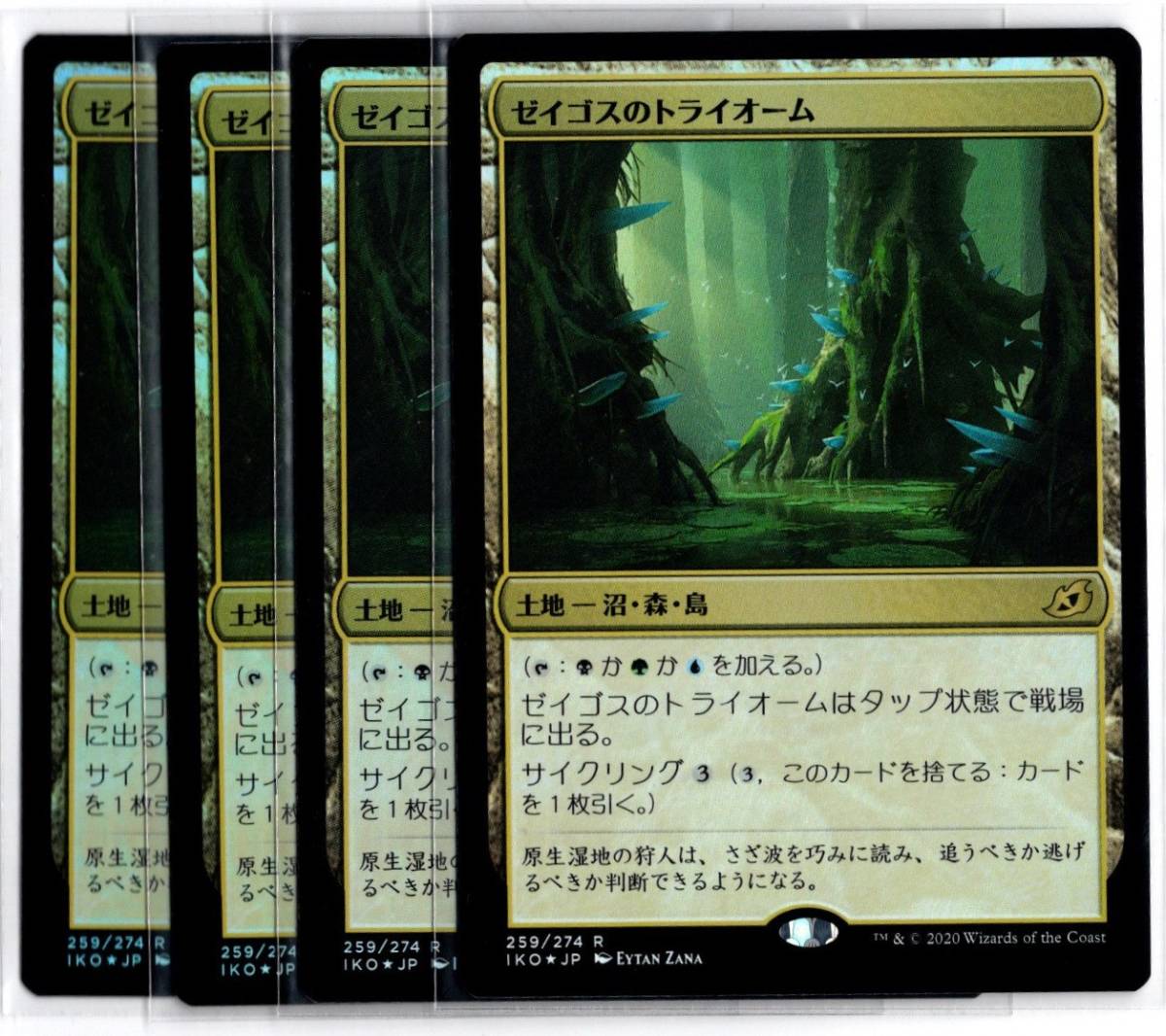 mtg TMP 不毛の大地/Wasteland 英2枚セット