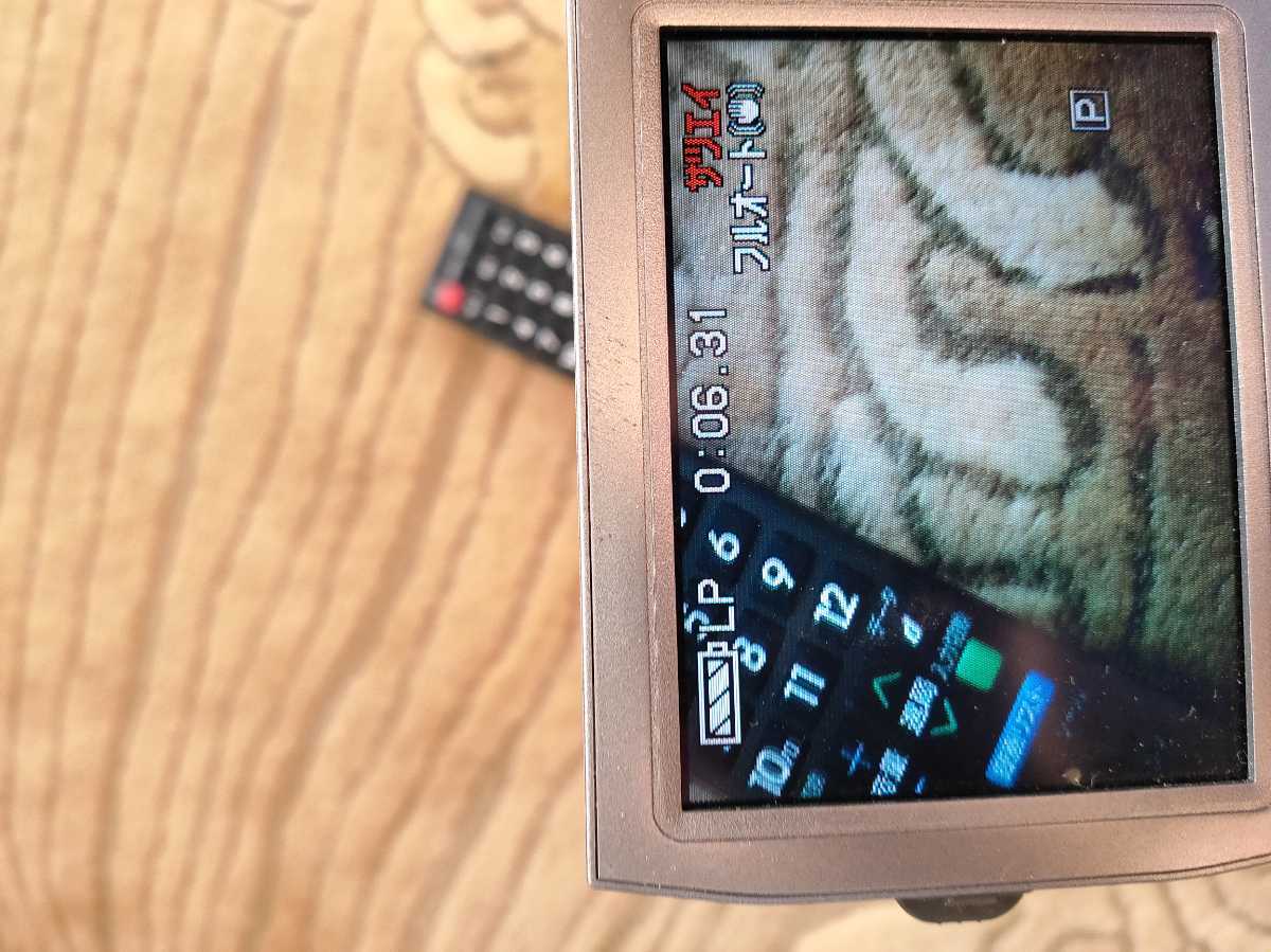NV-MX2500 ビデオカメラ 公式通販 Panasonic 3CCD miniDVのダビングに