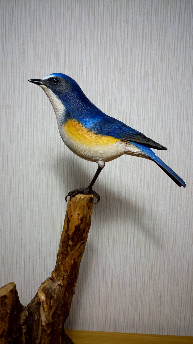 野鳥彫刻　ルリビタキ雄　バードカービング　野鳥の会_1
