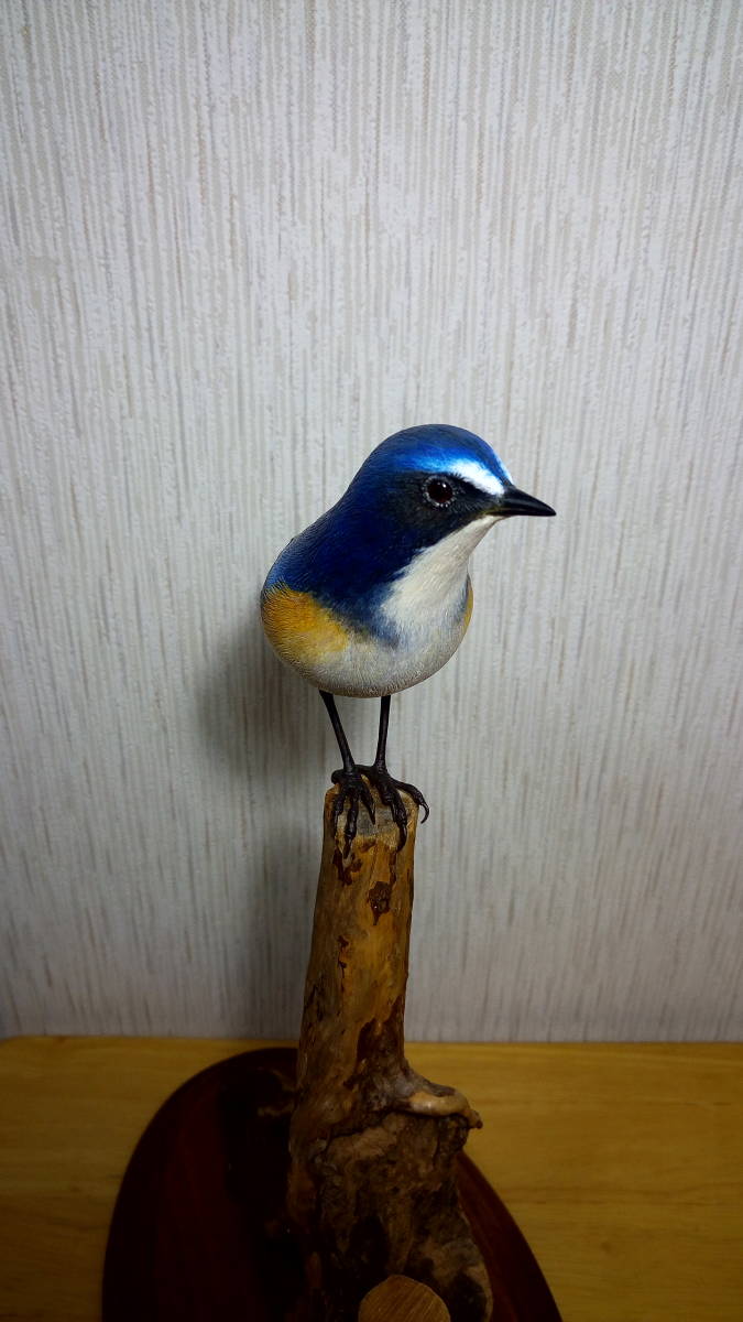 野鳥彫刻　ルリビタキ雄　バードカービング　野鳥の会_4