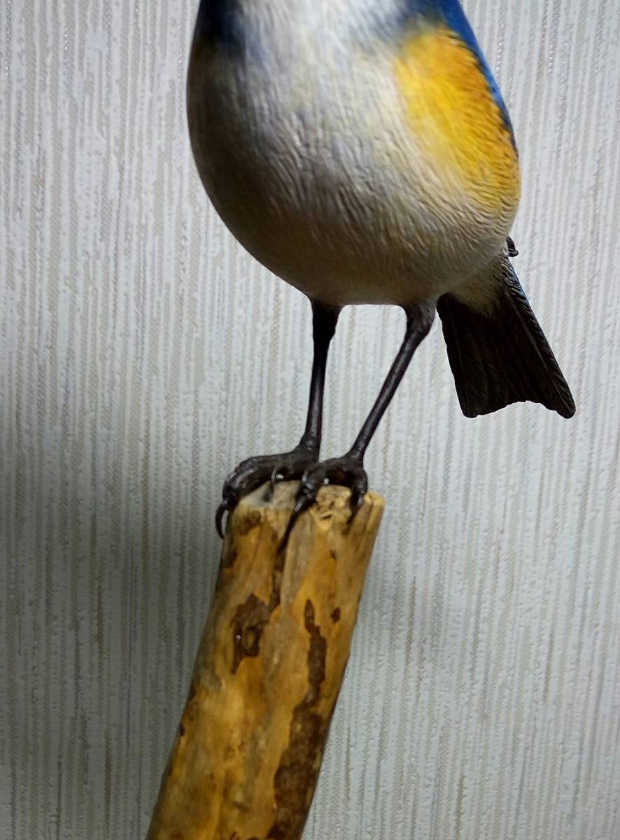 野鳥彫刻　ルリビタキ雄　バードカービング　野鳥の会_6