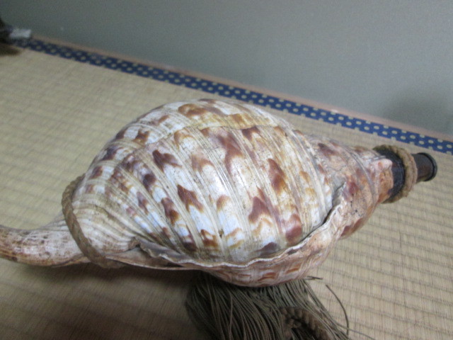 NO.40 河馬カバ牙 総重量 730g 鯨歯や象牙以上に硬質 漁具・疑似餌
