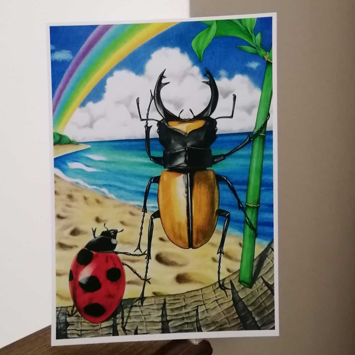 額付き 手描きイラストプリント 絵 クワガタ てんとう虫 昆虫 虹 海 面白い 楽しい 可愛い 手描きイラスト 売買されたオークション情報 Yahooの商品情報をアーカイブ公開 オークファン Aucfan Com