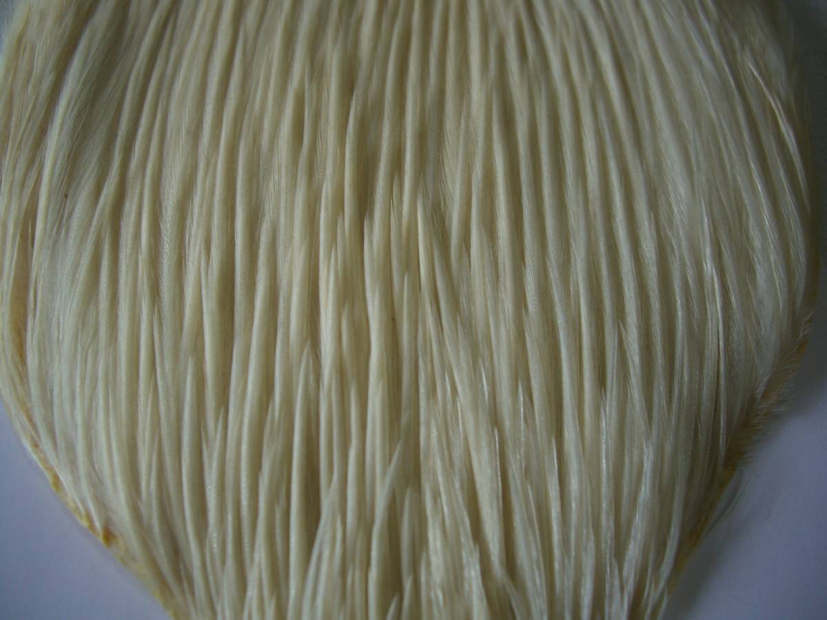 メッツ コックハックル クリーム #1 METZ CREAM クリーム METZ メッツ