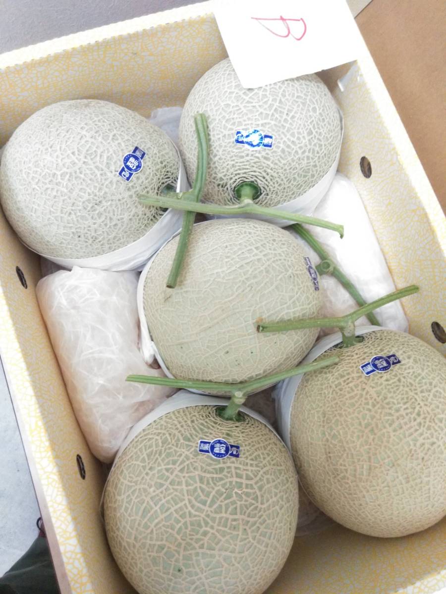 ♪送料無料 B 温室マスクメロン高知産 5玉 約9.6kg 家庭用です