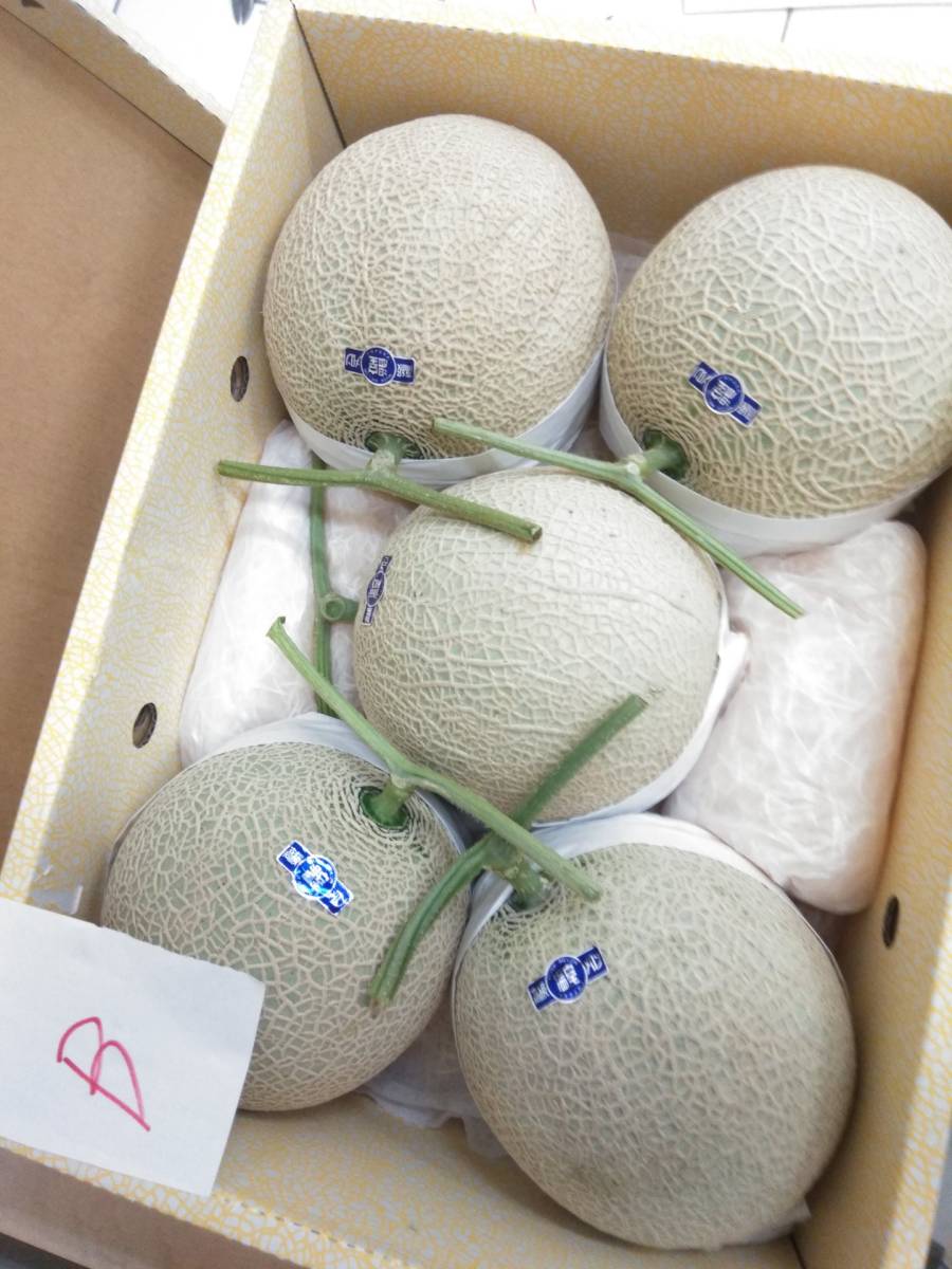 ♪送料無料 B 温室マスクメロン高知産 5玉 約9.6kg 家庭用です