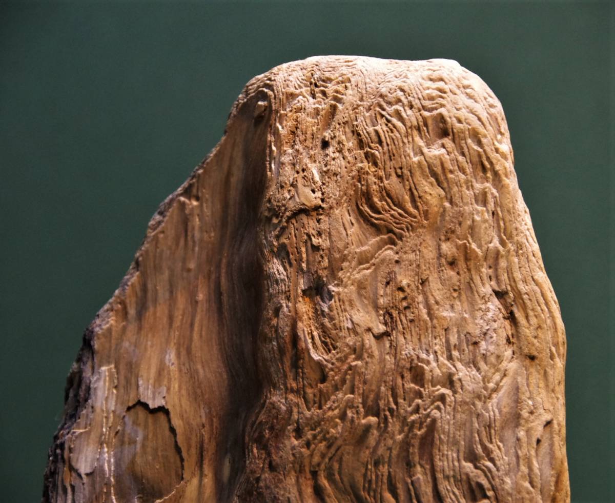 珪化木 木化石 石標本 飾り石 3.4㎏ 高29㎝ 珪化木 珪化