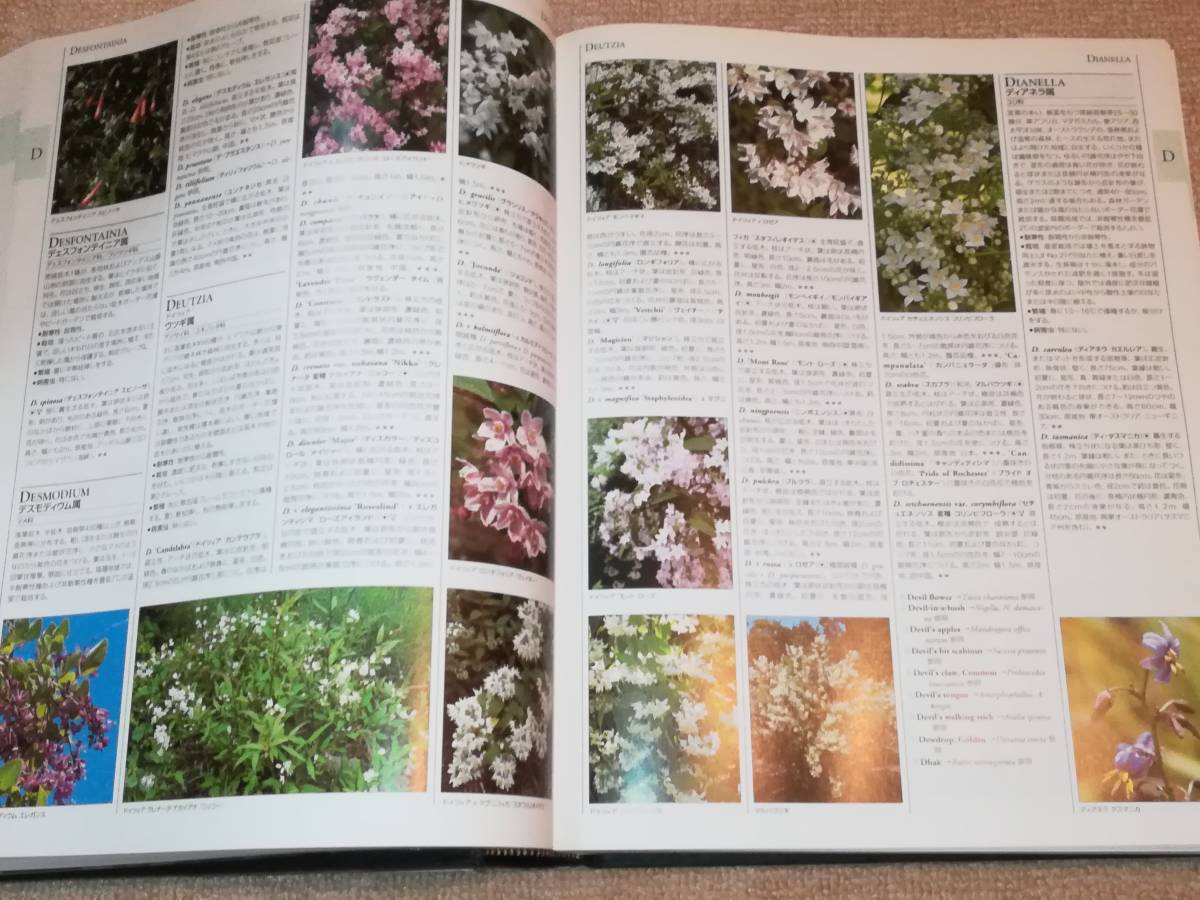 A-Z園芸植物百科事典 : 英国王立園芸協会 監修 本 クリストファー
