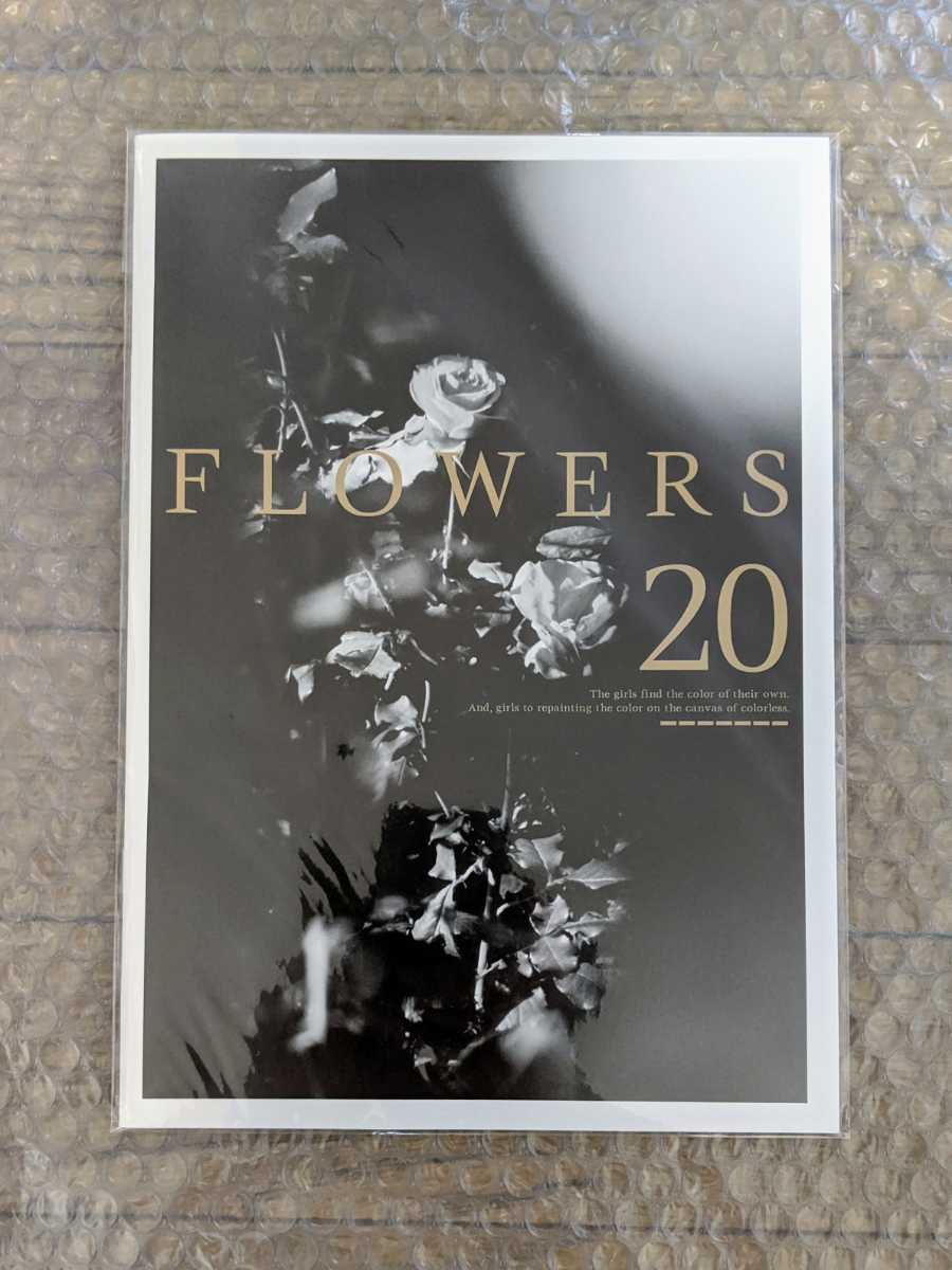 FLOWERS 20 杉菜水姫 FLOWERS 20 杉菜水姫 2026年最新】Yahoo