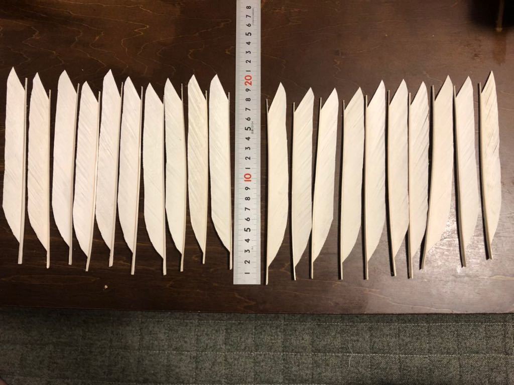 セール，新品 弓道 矢羽根 尾羽 20枚(弓道)｜売買されたオークション情報、yahooの商品情報をアーカイブ公開 - オークファン 弓道