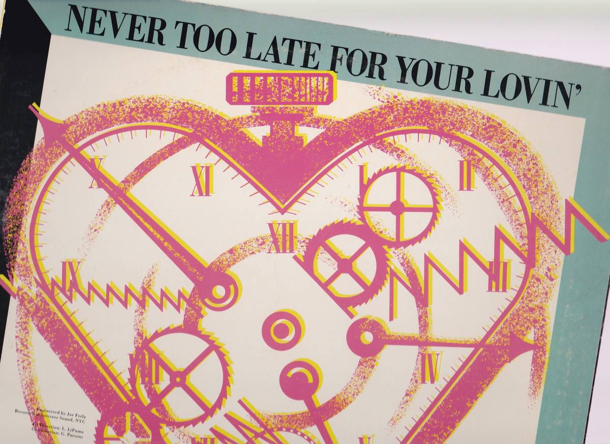 人気，安い ダンクラ12inch SUNFIRE / Never too late for your lovin&rsquo; picture sleeve Warner(ディスコ)｜売買されたオークション情報、yahooの商品情報をアーカイブ公開 - オークファン ディスコ