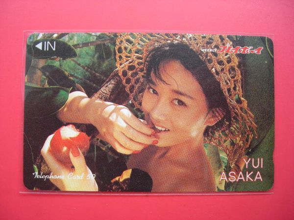 送料無料，爆買い 浅香唯 週刊プレイボーイ テレカ(あ行)｜売買されたオークション情報、yahooの商品情報をアーカイブ公開 - オークファン 女性タレント