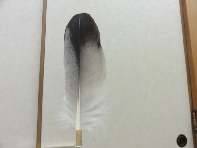 送料無料】 茶道具 御羽箒 まとめて6点 箒博作1点/つかみ羽根等 長期保管品
